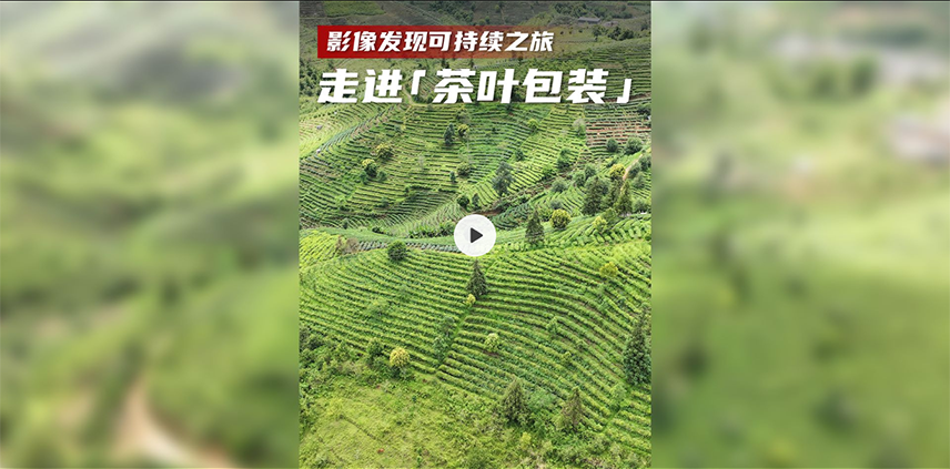 走進“茶葉包裝”