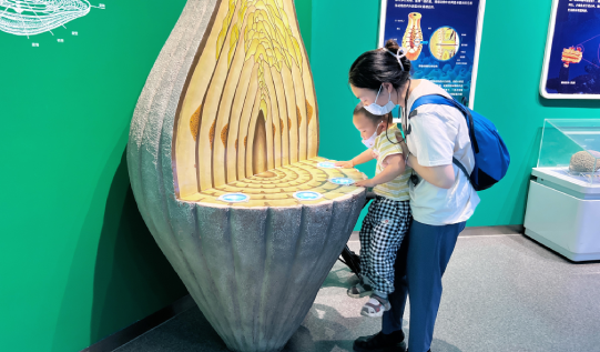 開(kāi)展《走進(jìn)自然》的國(guó)家自然博物館親子活動(dòng)