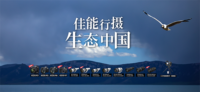 佳能行攝 生態中國