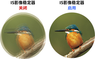 ※影像為示意。