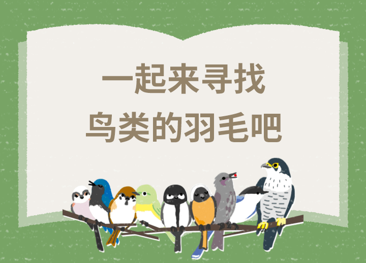 解開(kāi)鳥(niǎo)類之謎