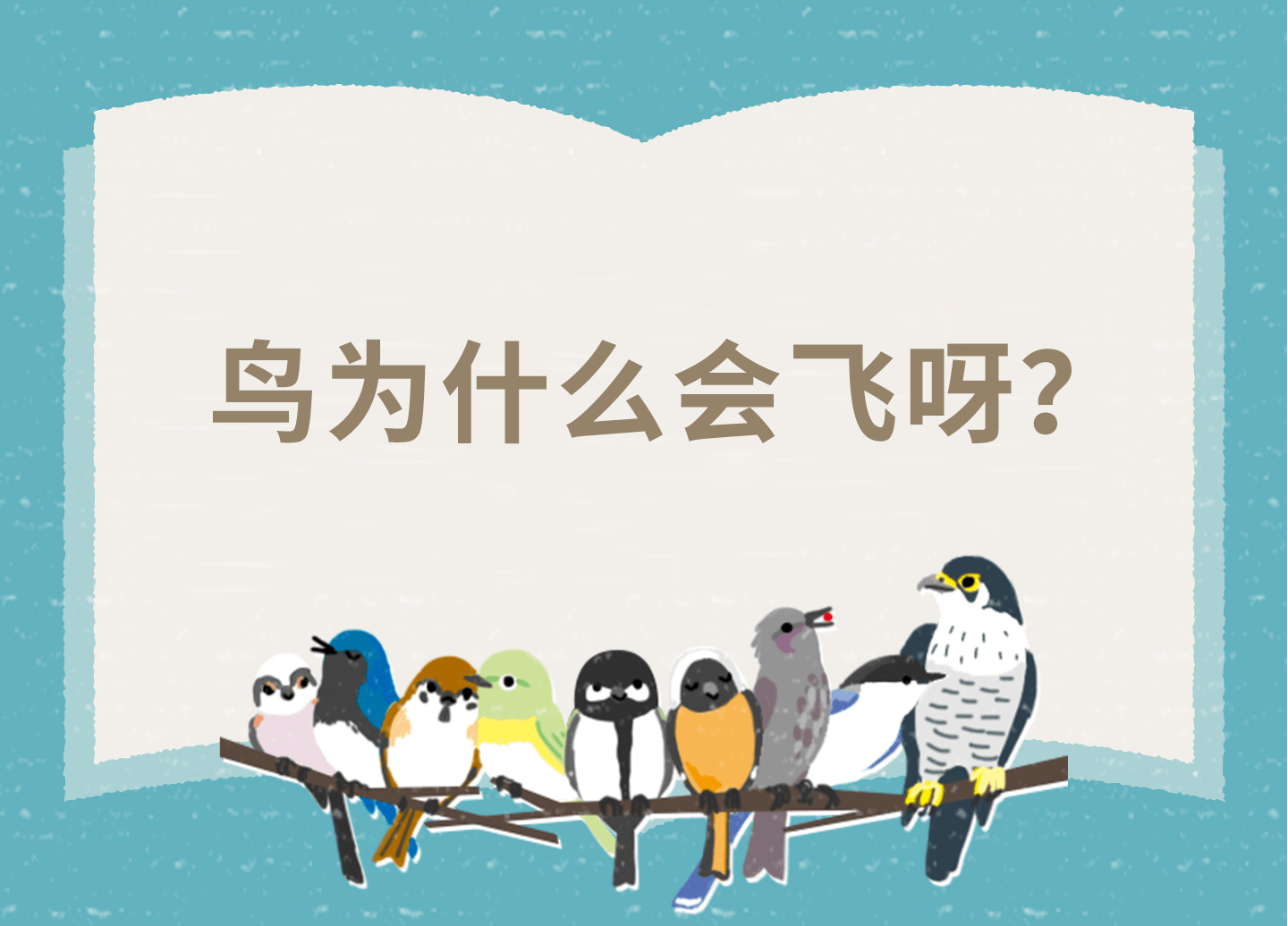 鳥(niǎo)為什么會(huì)飛呀？